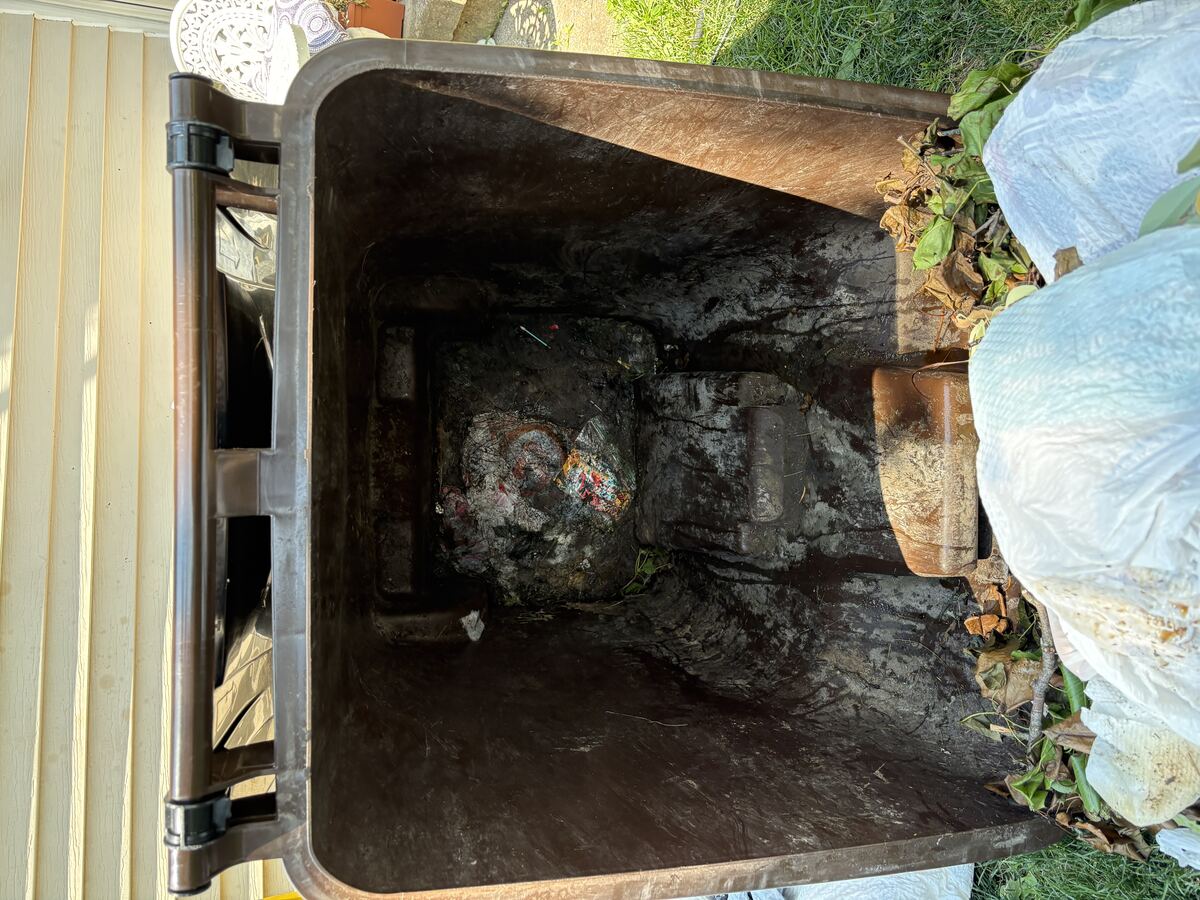 Dirty trash bin interior before cleaning