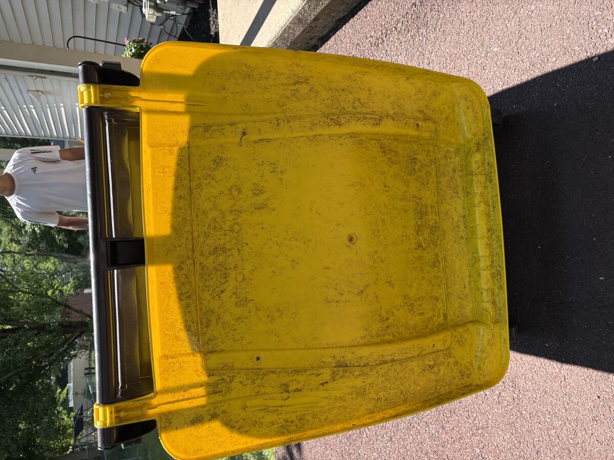 Dirty trash bin interior before cleaning