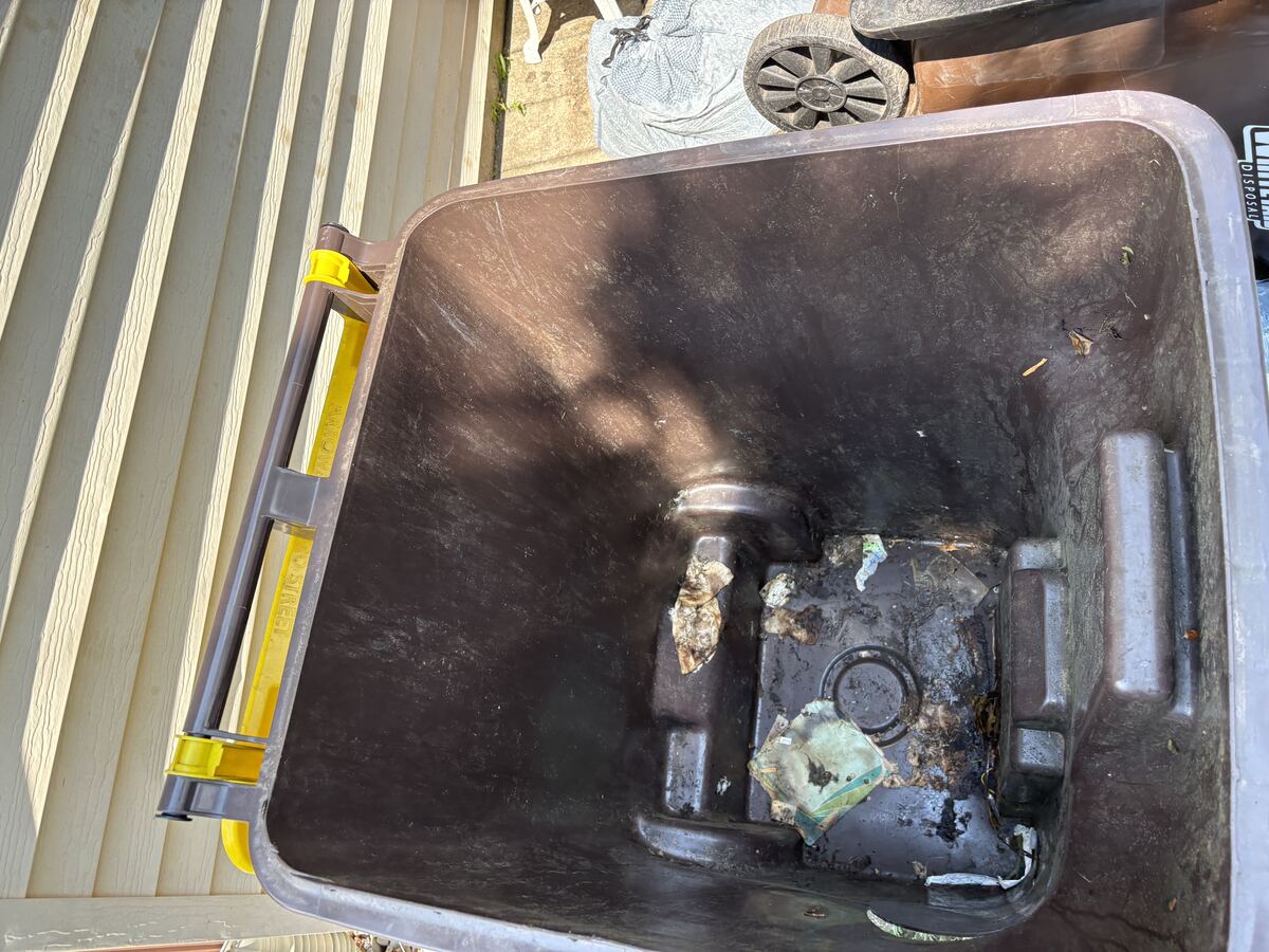 Dirty trash bin interior before cleaning